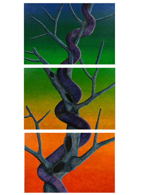 Trepadora 240 x90